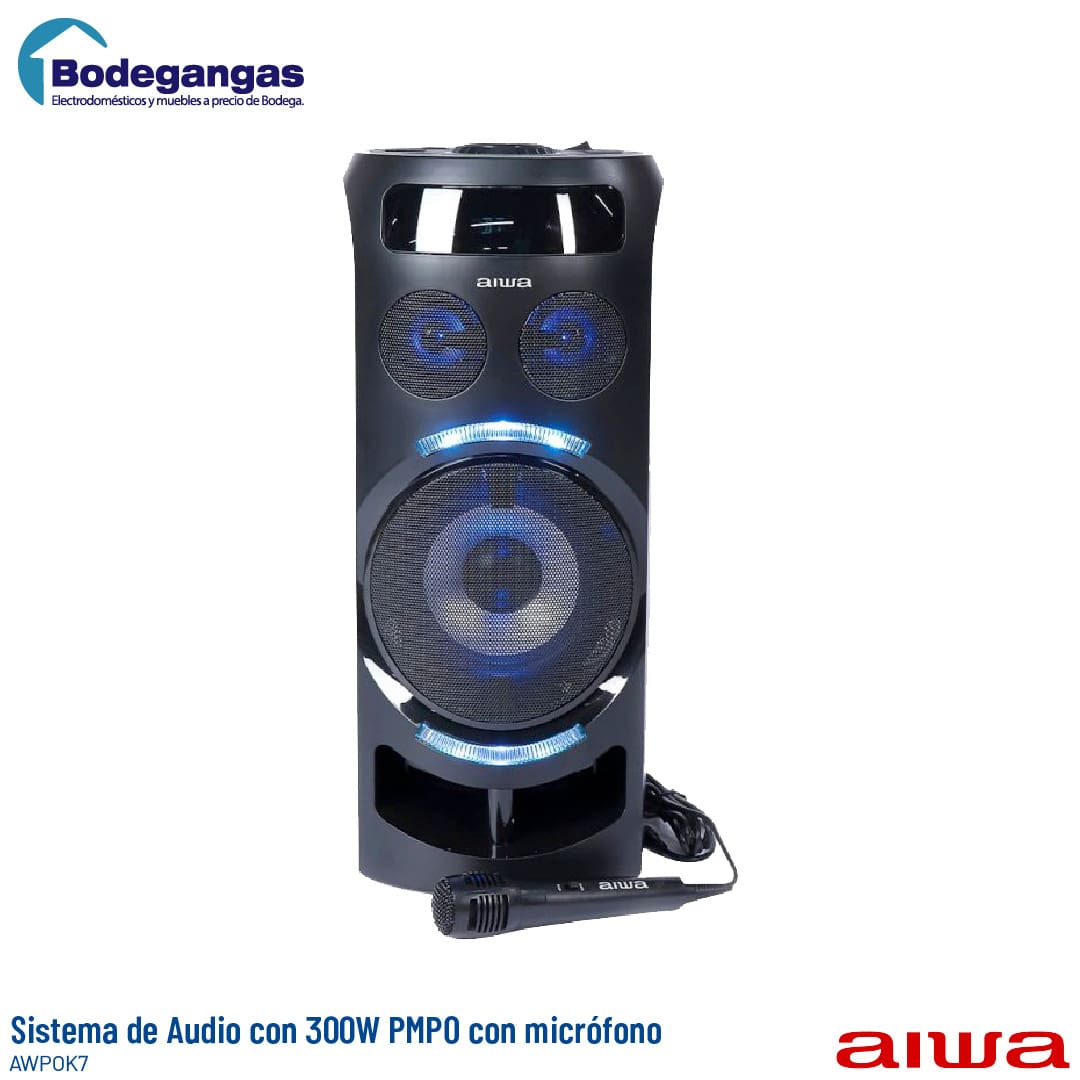 Karma PSB 8 Altavoz amplificado con micrófono inalámbrico - 300W PMPO